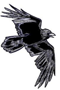 Raven_flight_cartoon