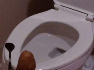 Q and Terri: Something in common!