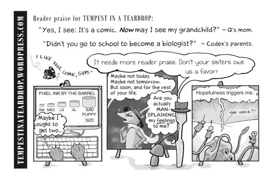 Tempest in a Teardrop promotional flyer uses copious reader praise