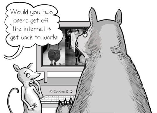 Larry and Sarah are goofing off on the internet snarking about crazy fashion week models