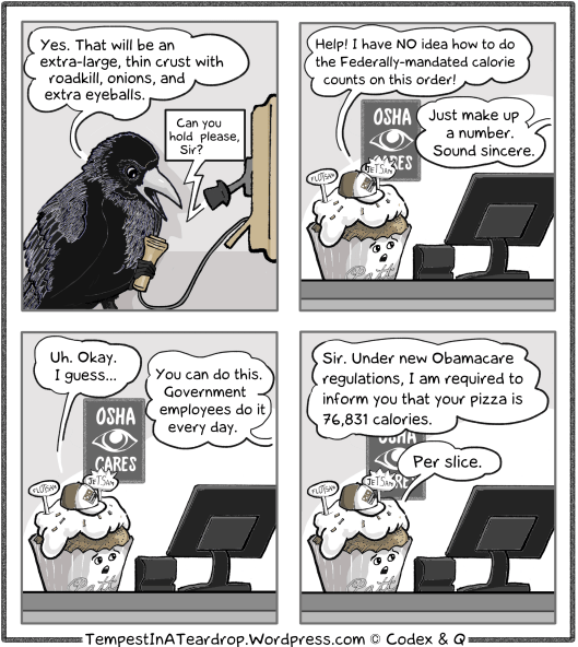 Patt can't apply Obamacare guidelines to Wright the Raven's pizza order