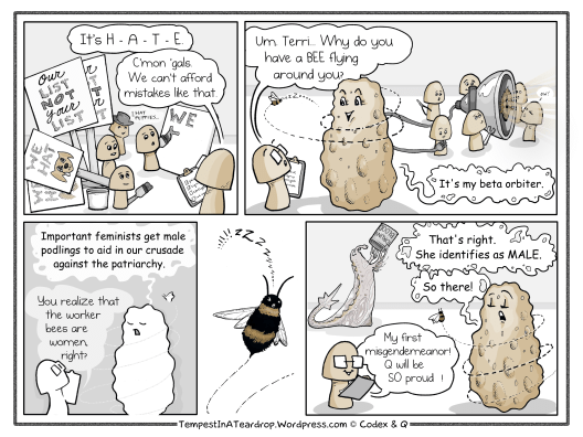 Codex commits a misgendemeanor when she misgenders Terri's new beta orbiter