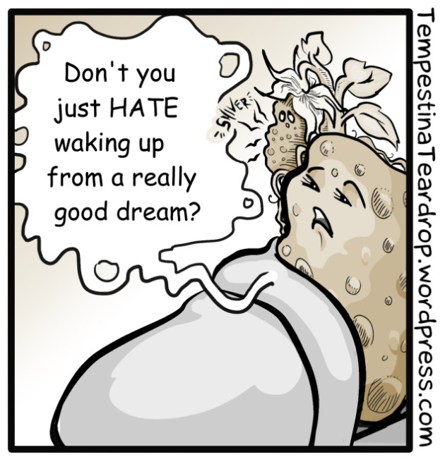 Dream_Terri_Bathroom_Cert_Frame_5_smaller