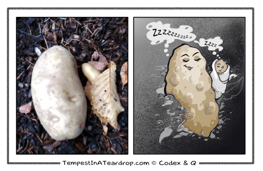 Preggers_Terri_Tater_and_Tot_smaller