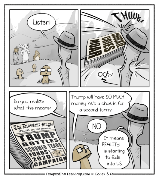 finality_04_news_smaller