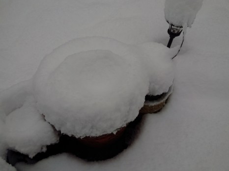 img_20170206_0815390_rewind