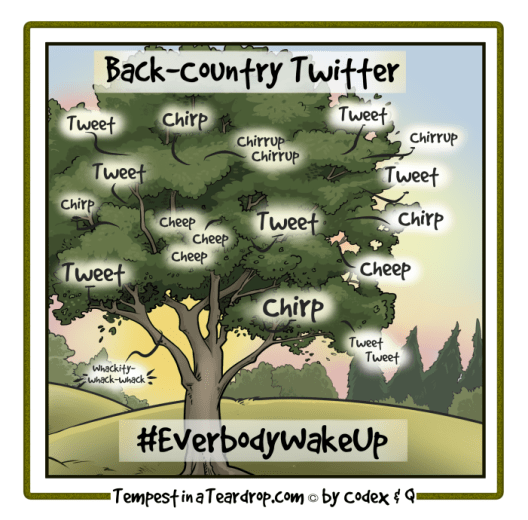 Kinda odd they haven't been banned yet. More proof that Twitter hates us.